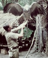 Jim Fowler with a Harpy Eagle Guyana in 1960. (http://www.naplesnews.com/news/2009/feb/19/well-known-animal-expert-helping-naples-zoo-celebr/)