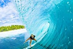 Bethany Hamilton in a wave. (http://www.bethestaryouare.com/images/bethany_hamilton.jpg)