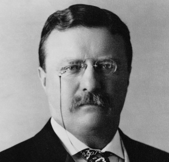 A portrait of Theodore Roosevelt (www.visitingdc.com)