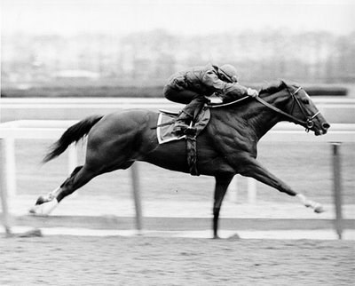 Secretariat (examiner.com)