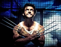 Wolverine (http://www.stnews.com.cn/dhserver/yidu/movieshow.asp?Page=&CNo=120101&Id=1324)