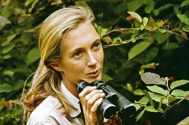 Jane Goodall (http://i.timeinc.net/time/photoessays/2009/10q_jane_goodall/10q_jane_goodall_01.jpg)