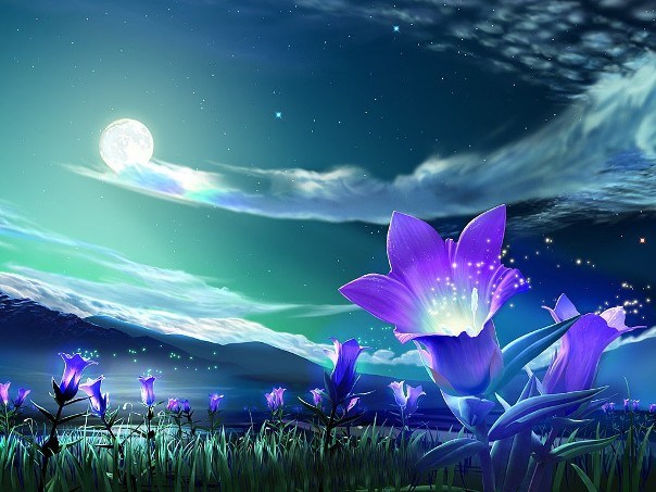 The layers of the flowers remind me of the moods  (www.hoshinavi.com)