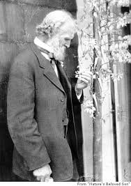  (http://articles.sfgate.com/2008-11-02/books/20872711_1_john-muir-donald-worster-passion)