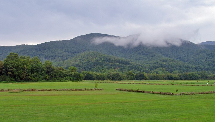 Open land (internet)