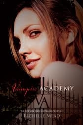 The series Vampire Academy 