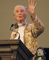  (http://www.janegoodall.ca/goodall-bio-timeline.php (Jane Goodall Institute))