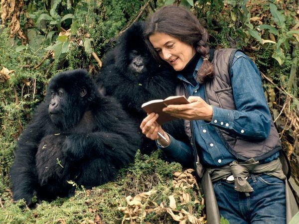 Dian Fossey ( ())