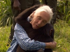 Jane Goodall hugging a chimpanzee