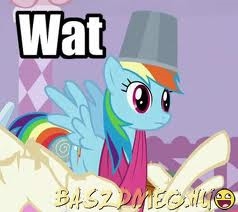 Rainbow Dash sporting a bucket. (Google images.  ())