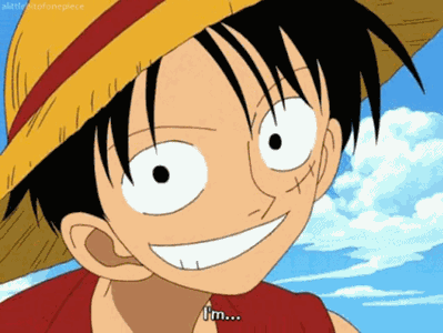 Monkey D Luffy Straw Hat Pirates One Piece Smiling Anime Matte