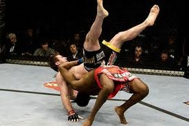 (ufc guys)