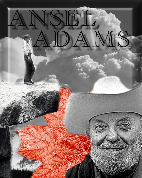 Picture of ANSEL ADAMS COLLAGE