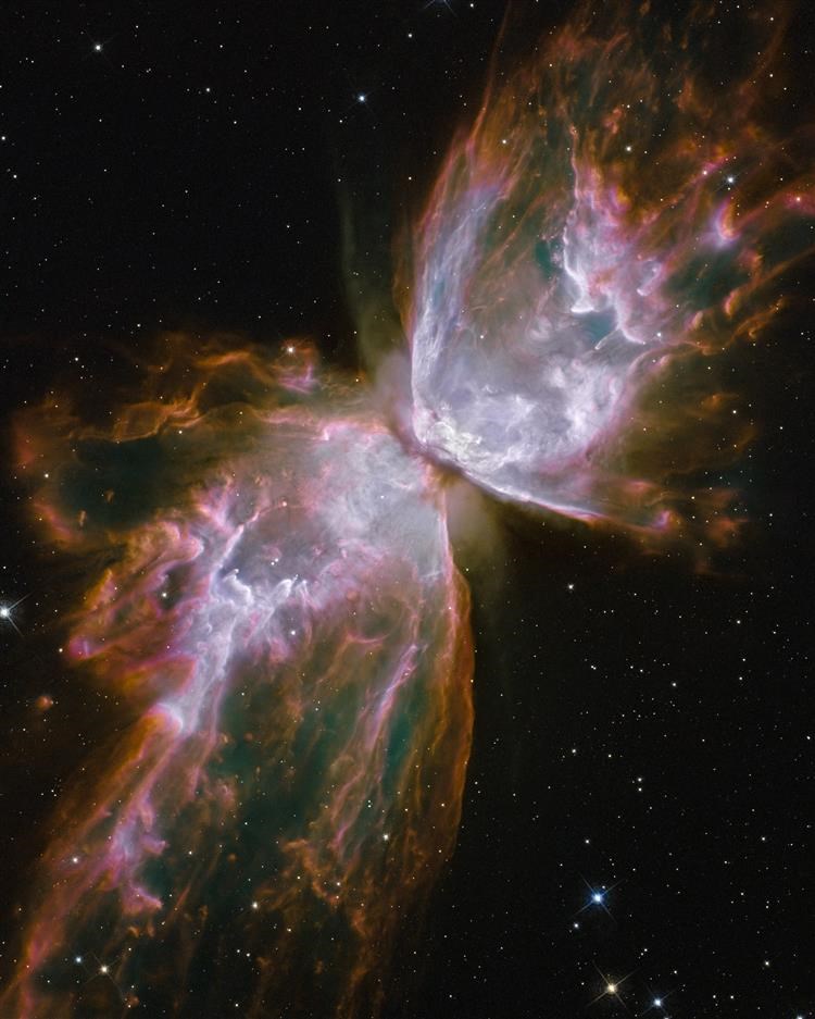 Picture of The Butterfly Nebula