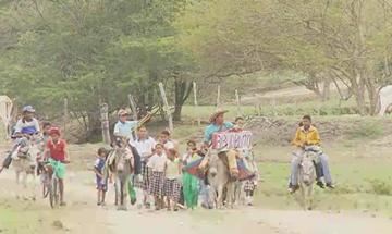 Biblioburro: The Donkey Library | MY HERO