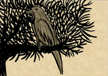 Kunugi Tree | MY HERO