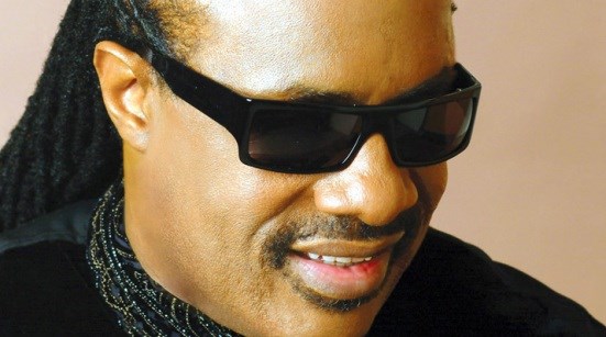 Picture of Musician Hero: Stevie Wonder by Sabrina from San Diego