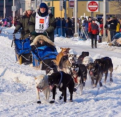 Gary running the dogs. (https://www.google.com/search?q=gary+paulsen&espv= (4thgraderlmustangs.blogspot.com))