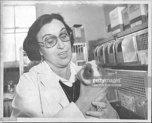 Rosalyn Sussman holding a guinea pig, in her lab (http://www.gettyimages.com/photos/rosalyn-sussman- (Getty images))