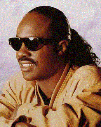 from <i>Stevie Wonder, the Web Site</i>