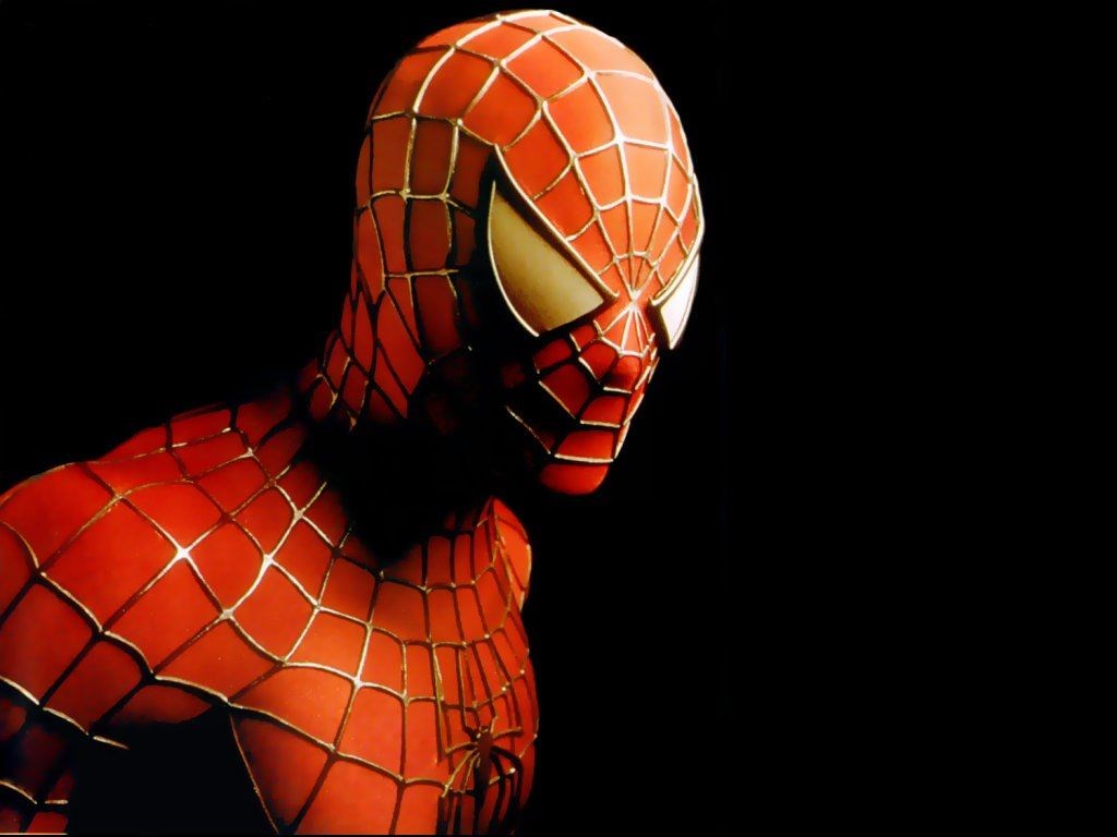 Spiderman (google images)
