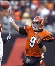 Carson Palmer playing for the Cincinnati Bengals (Google Images)