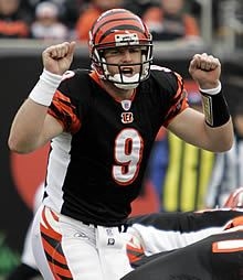Carson Palmer calling a play (Google Images)
