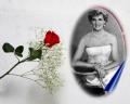 Princess Diana - The Rose - Her Symbol (www.pagedepot.com/ CzarViktor/Princess-Diana.htm)