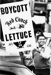 Cesar Chavez is on a boycott of lettuce. 