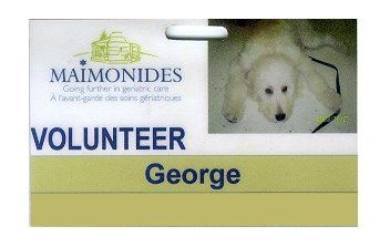 My dog George (This is George's work ID badge.)