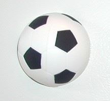 A Soccer ball because my dad loves soccer!