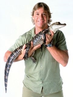 Steve Irwin holding a baby crocodile