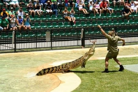  <a href=http://en.wikipedia.org/wiki/Image:Steve_irwin_at_Australia_zoo.jpg>Steve Irwin at Australia zoo</a>