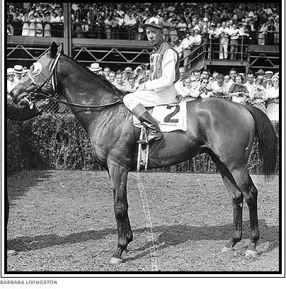 <a href=http://www.pbs.org/wgbh/amex/seabiscuit/gallery/images/seabiscuit_10.jpg>Seabiscuit</a>