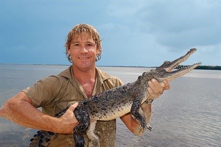 <a href=http://www.australiazoo.com.au/steve.php?cat=feedback>Steve holding a young crocodile</a>