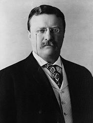 This is a picture of Teddy while he was in office (wikipedia.org)
