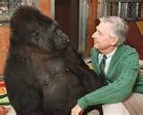 Mr. rodgers in action, yeah (windows live search/ images)