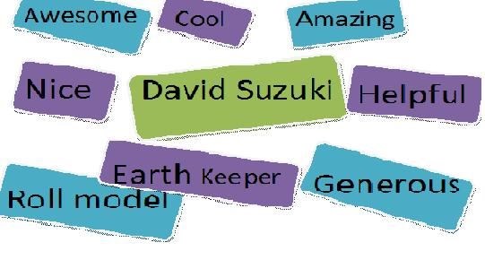 David Suzuki web (I made it)
