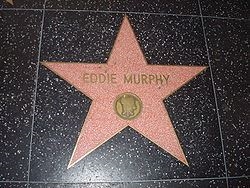 Eddie Murphy's star on the Hollywood Walk of Fame (www.Wikipedia.com)
