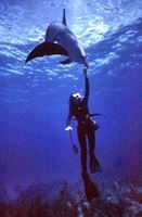 Earle diving in the ocean (www.achievement.org/.../ear0/large/ear0-012.jpg)