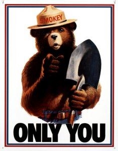 (http://fly4change.wordpress.com/2008/07/13/<br>social-marketing-smokey-bear-june-2008/)