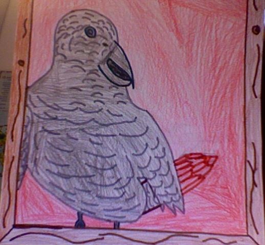 Sitting on a cage (I drew my picture/Users/paularc/Desktop/Photo 18.jpg)