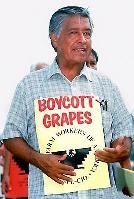 Chavez during the famous grape strike (http://3.bp.blogspot.com/)
