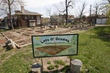 This is the Lots O' Greens neighborhood garden in Detroit, The city, which revolutionized manufacturing with its auto assembly lines, could once again be a model for the world as residents transform vacant, often-blighted land into a source of fresh food.