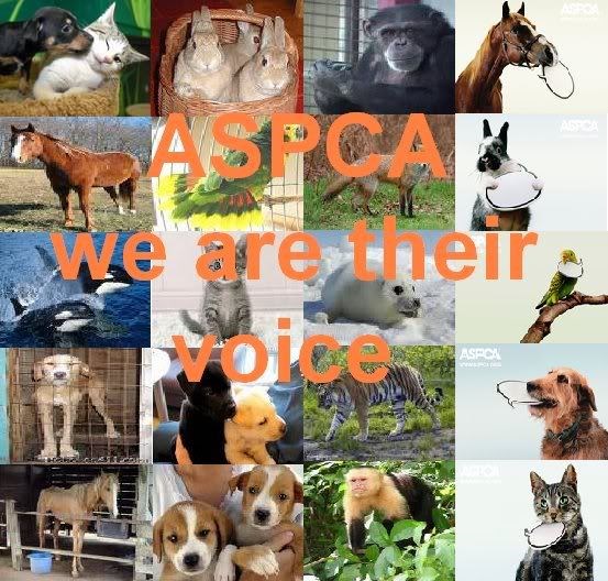 ASPCA picture 