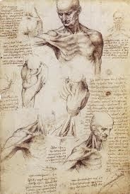  (http://luigicarlopainting.wordpress.com/2011/06/09/leonardo-da-vinci-art-and-science-understanding-the-nature-of-light/ ())