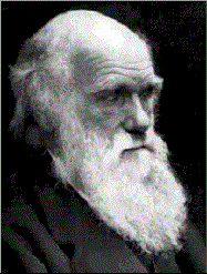 Charles Darwin (www.lucidcafe.com ())