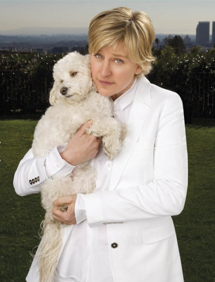 Ellen DeGeneres holding a dog (http://www.facebook.com/photo.php?fbid=41929612240&set=a.448738262240.235224.36772172240&type=1&theater ())