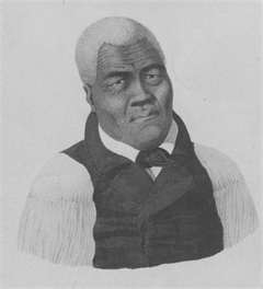 This is a picture of King Kamehameha The Great. (http://www.nps.gov/puhe/historyculture/kamehameha.htm)