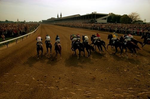 Secretariat in Kentucky (www.nationalgeographicstockphotos.com (J. Bruce Baumann))